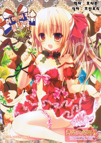 (C81) [Kinokonomi] Torakeru Flan-chan (Touhou Project) (korean) cover