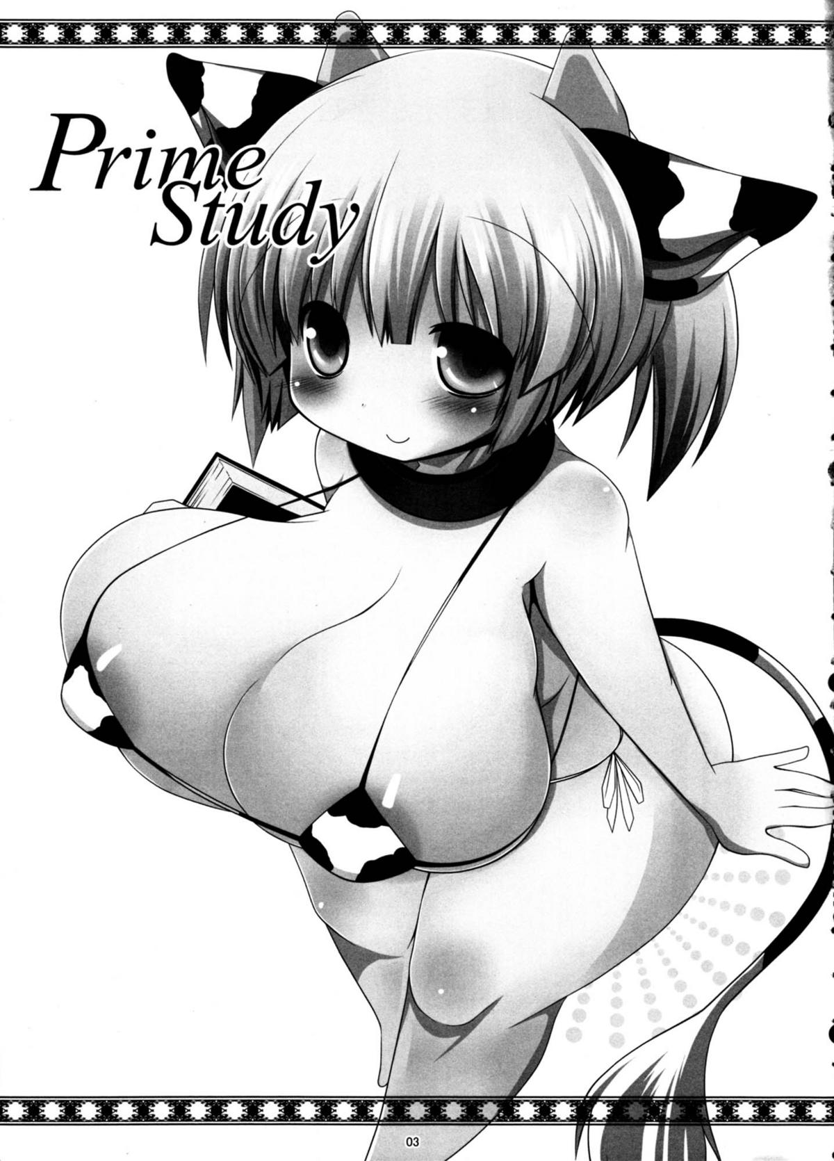 Prime Study page 3 full