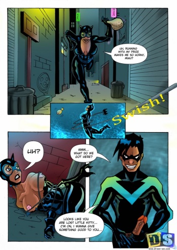 [Drawn-Sex] Nightwing and Catwoman (Batman) cover