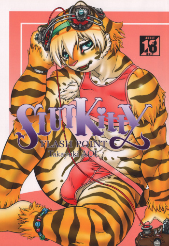 (C81) [Flash Point (Aoi Takayuki)] Slut Kitty cover