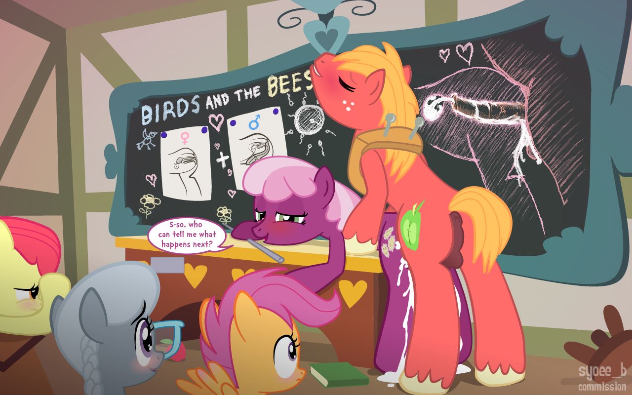 MLP Small Gallery page 6 full