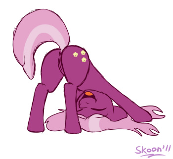 MLP Small Gallery cover