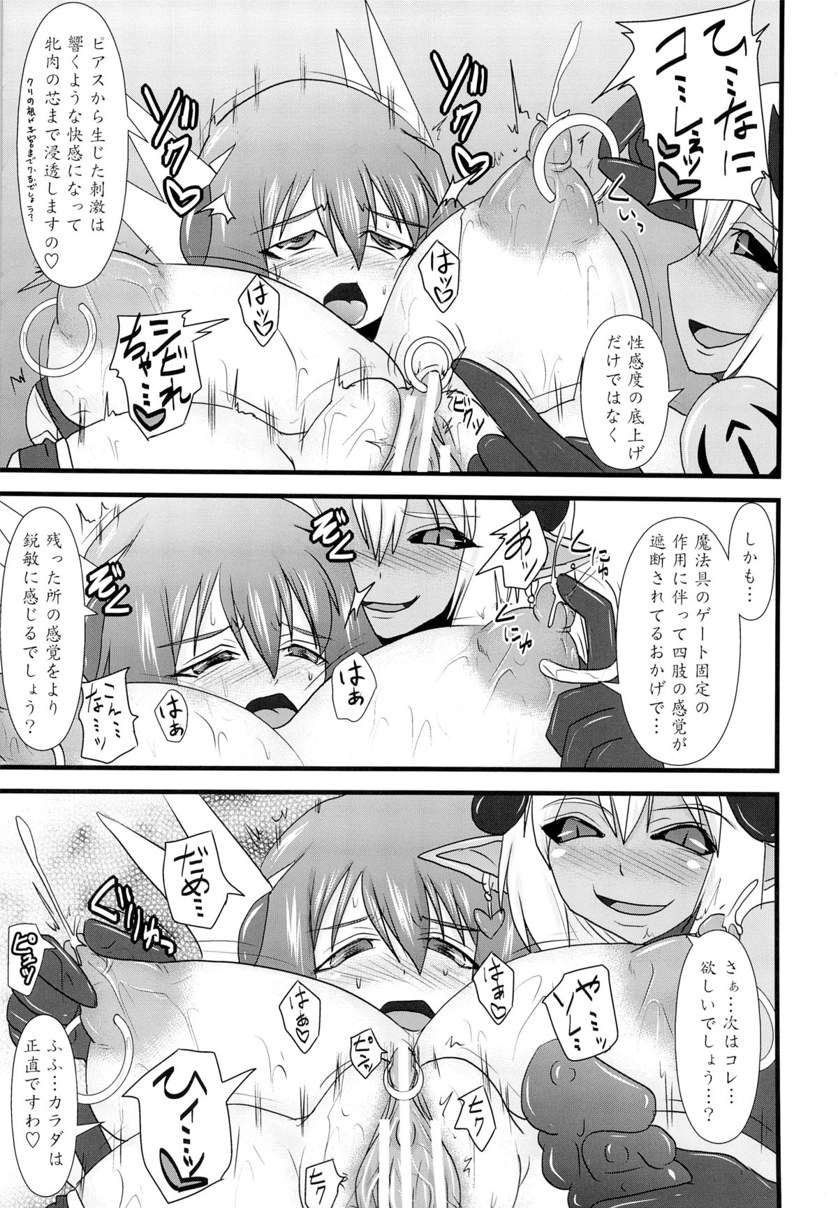 Shield Knight Elsain Vol. 13 Succubus Flirtation page 12 full