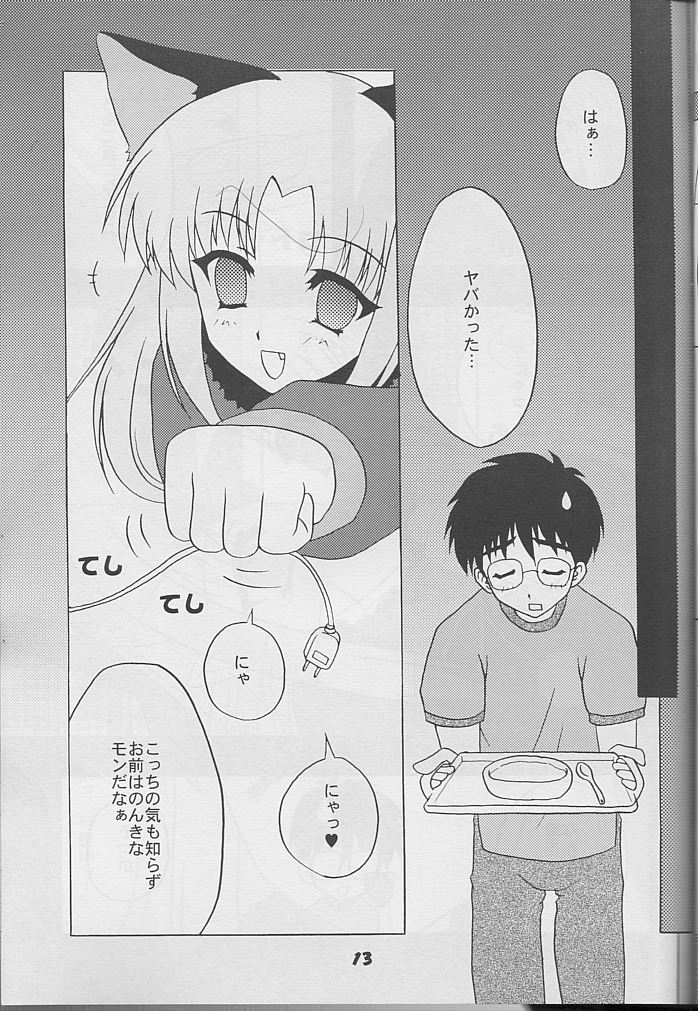 Minato Black Cats 14 Hanten Kuroneko Musume page 12 full