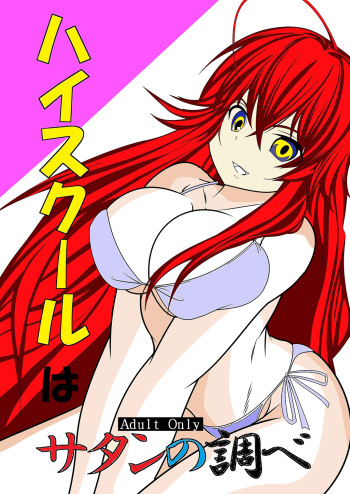 [Desert Fox] High School wa Satan no Shirabe (Highschool DxD) cover