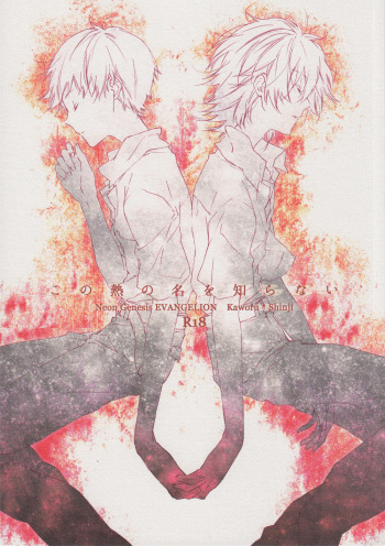 [Mekoro (meco)] Kono Netsu no Na o Shiranai (Neon Genesis Evangelion) [2013-02-16] cover