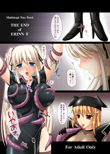 [SIMPLE HOUSE (Kafu)] THE END of ERINN II (Mabinogi) [Digital] cover