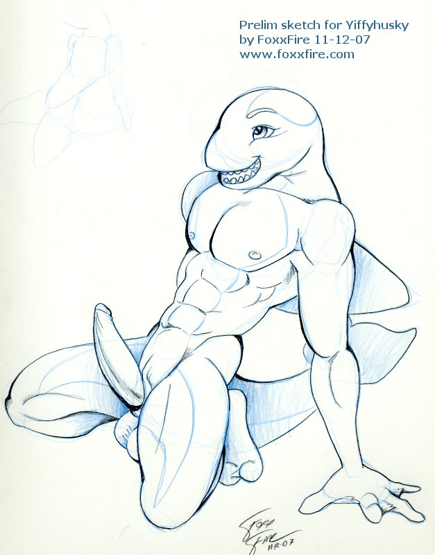 Whales/Orcas/Dolphins page 11 full