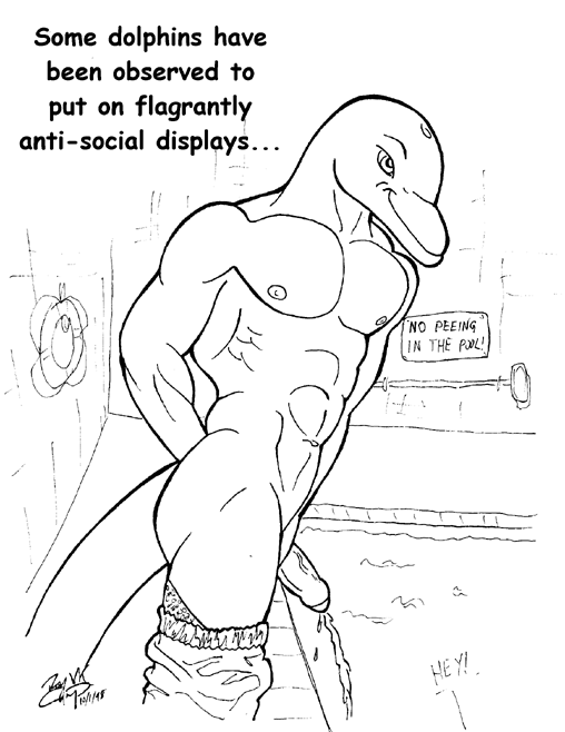 Whales/Orcas/Dolphins page 12 full