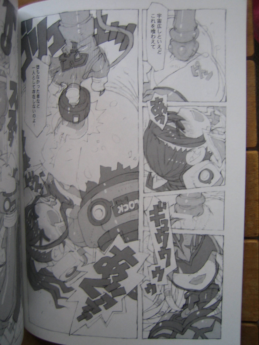 Kaizoku Ojou page 5 full