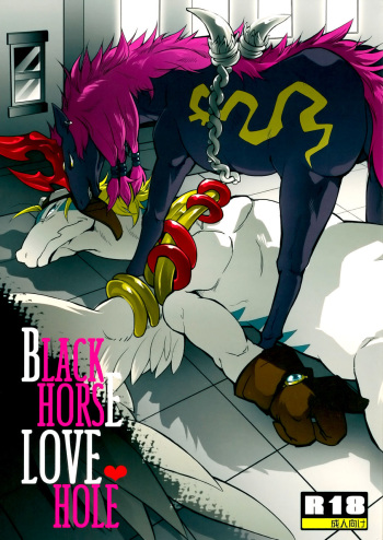 (C80) [Kimidori (Various)] Black Horse Love Hole (Legendz: Tale of the Dragon Kings) [English] =LWB= cover