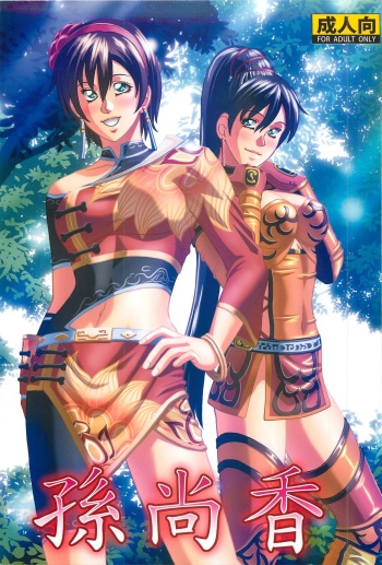 (C81) [Human High-Light Film (Jacky Knee-san)] Sonshoukou (Dynasty Warriors) cover