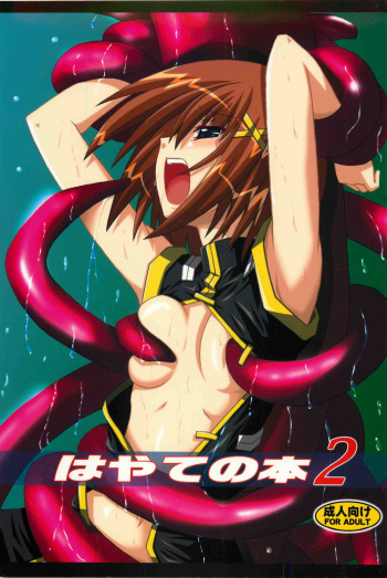 (C74) [Yoru no Benkyoukai (Fumihiro)] Hayate no Hon 2 (Mahou Shoujo Lyrical Nanoha) cover