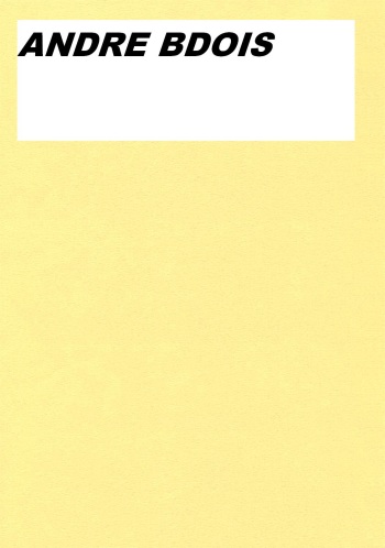 EROTIC ART COLLECTOR 0006 ANDRE BDOIS cover