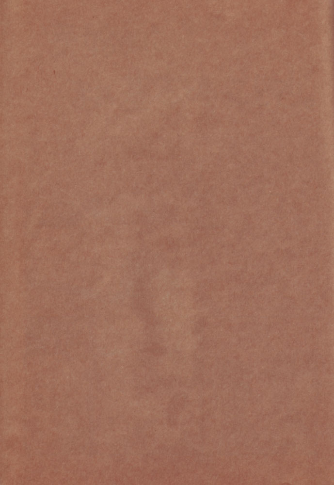 Sekai wa Aniki de Mawatteru page 3 full