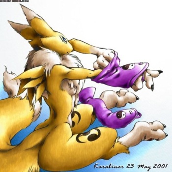 Renamon, Gardevoir, and Fluttershy cover