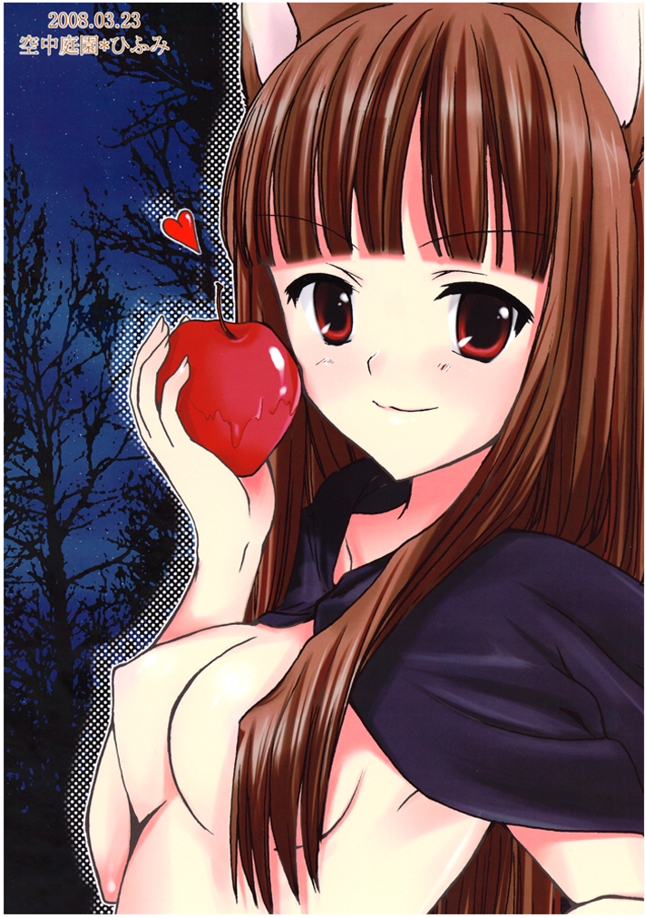 Ookami to Shounin to Keiyaku to page 12 full