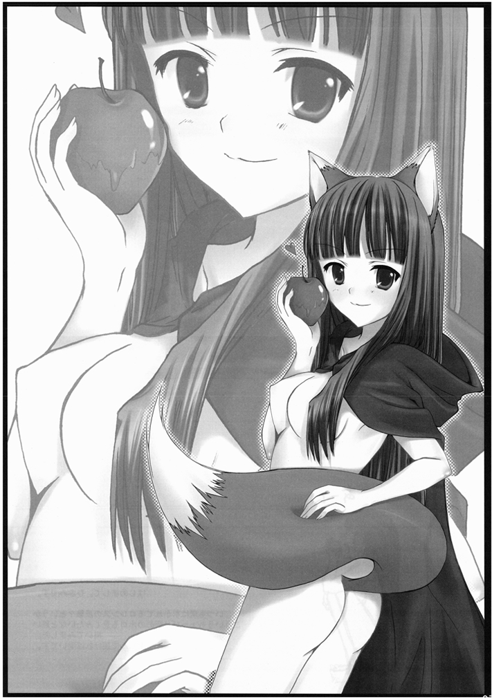 Ookami to Shounin to Keiyaku to page 3 full
