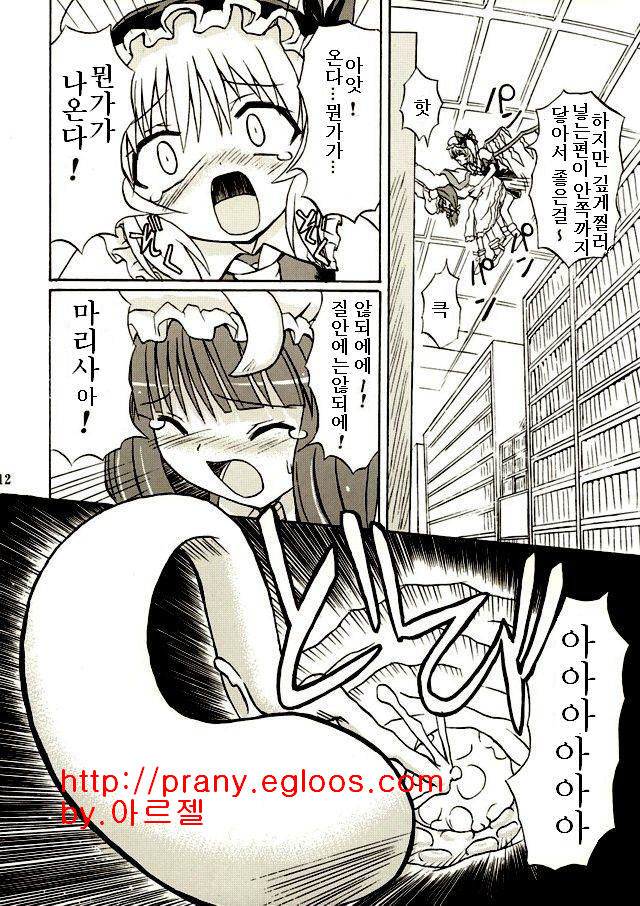 Touhou Youjo Ranbu 2 page 11 full