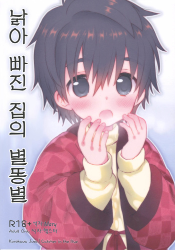 (C83) [Catcher in the Rye (Kurokawa Juso)] Onboro Sou Nagareboshi (korean) cover