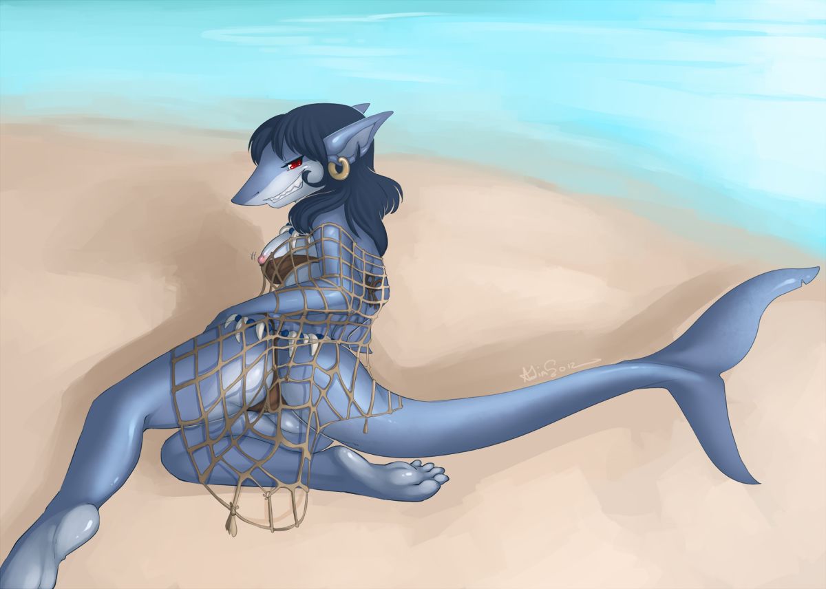 Sharks page 11 full