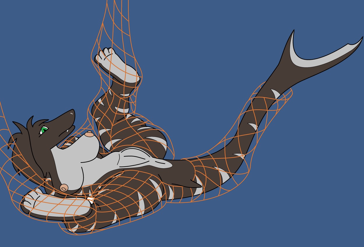 Sharks page 12 full