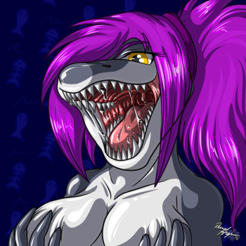 Sharks cover