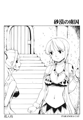 (SC56) [PARANOIA CAT (Fujiwara Shunichi)] Sabaku no Ryoshuu (One Piece) cover
