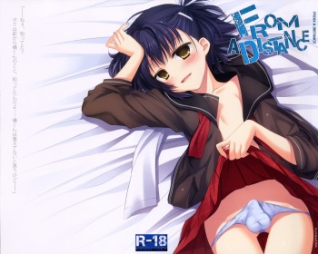 (C80) [Kumikae DNA (Mizugami Kurena)] From a Distance (Prunus Girl) cover