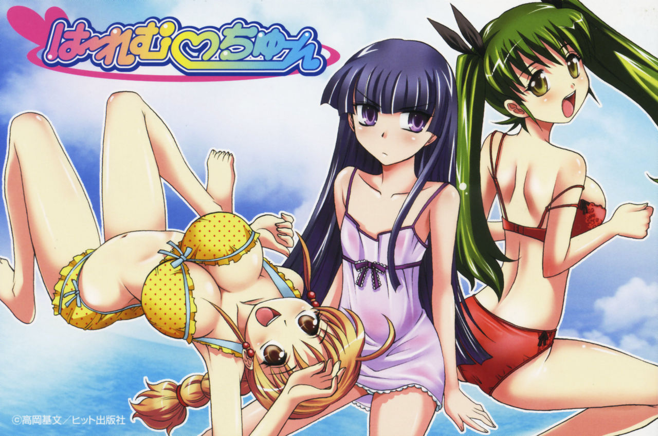 Harem Tune Genteiban page 11 full