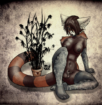 Furry Futanari cover