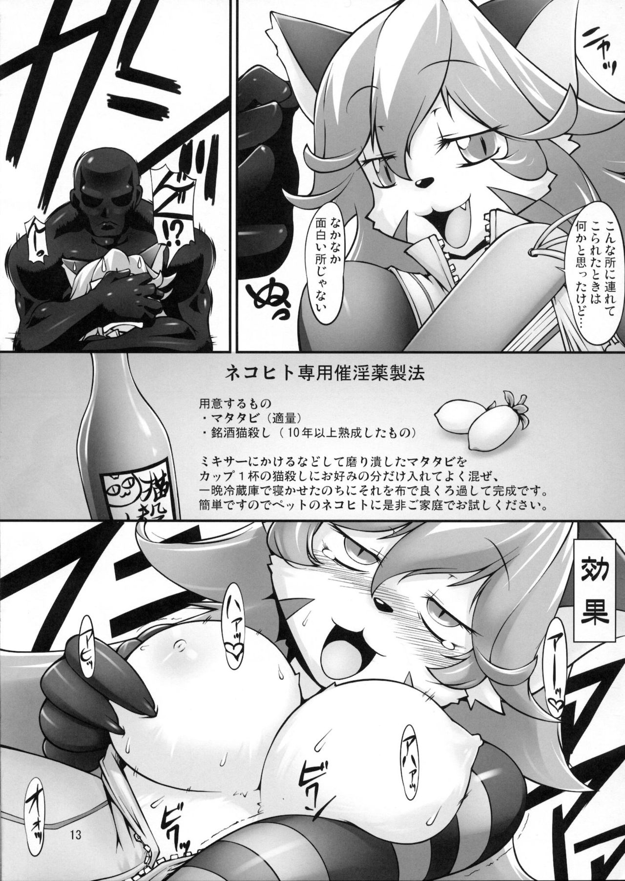 SSS page 12 full