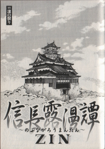 ZIN cover