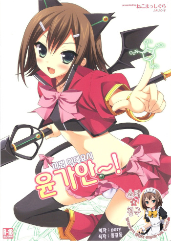 (C80) [Neko Masshigura (Karukanko)] Mahou Hideyoshi Rinkan! | Magical Hideyoshi Gang Rape! (Baka to Test to Shoukanjuu) (korean) cover