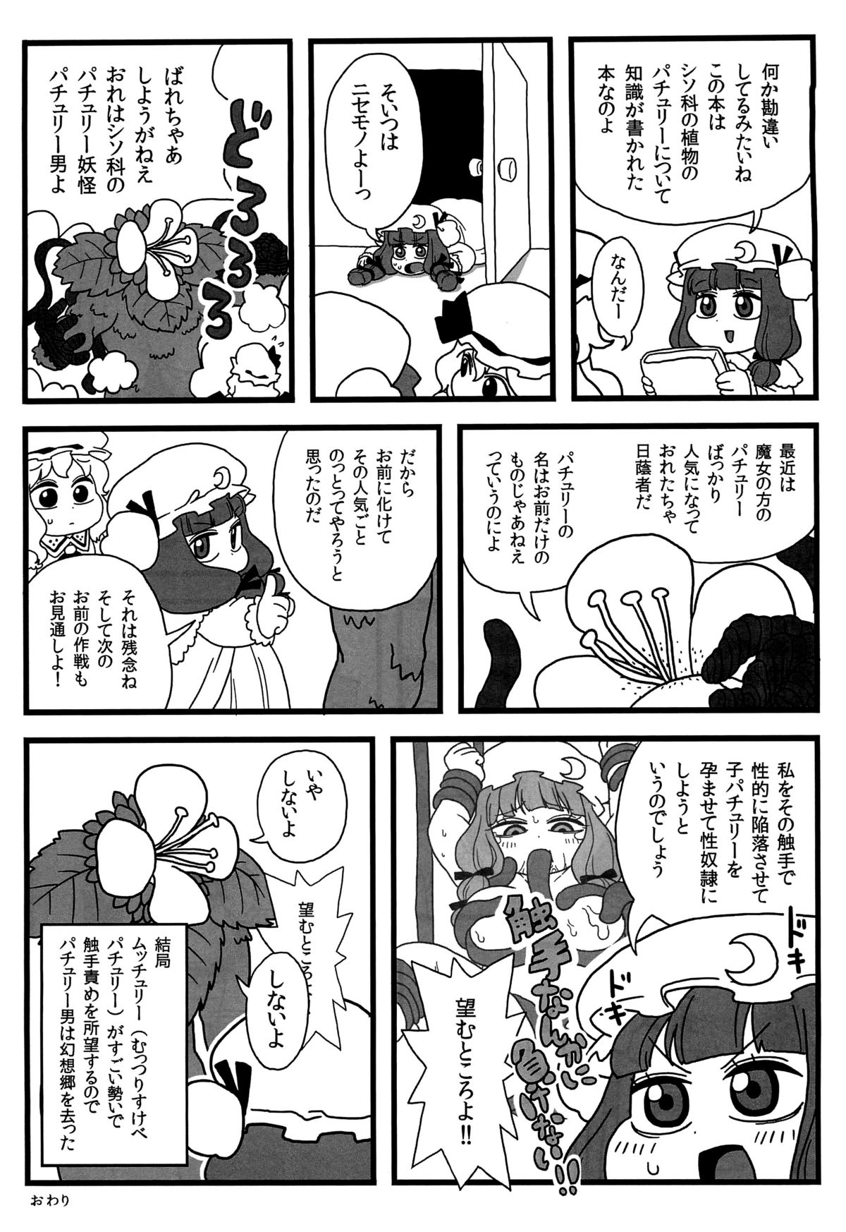 Patchouli ga Ippai page 12 full