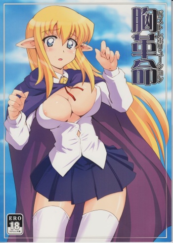 (C74) [Zi, 66 no Oka, Tsurukiya (Mutsuki Ginji, 66-Muou)] Mune Kakumei Bust Revolution (Zero no Tsukaima) cover