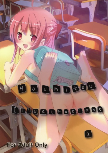(C82) [Houmitsudou (Houmitsu)] Houmitsu Illustrations 2 cover