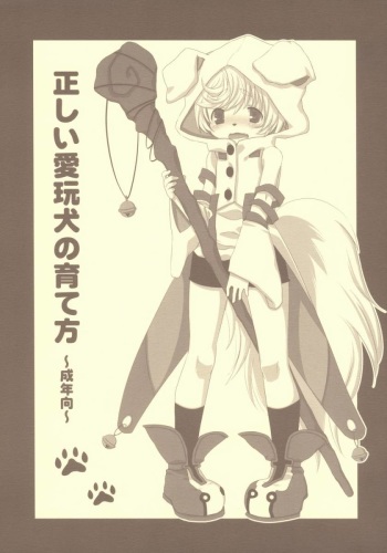 (C72) [Nekotank (Maitou)] Tadashii Aigan-ken no Sodate Kata (Shining Force EXA) cover