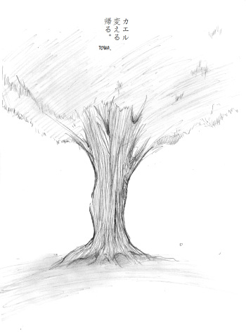 [TOWA.] "Shin" Kaeru Kaeru Kaeru. (Hidamari Sketch) cover
