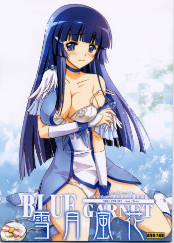 (C82) [BLUE GARNET (Serizawa Katsumi)] Setsugetsufuuka (Smile Precure!) cover