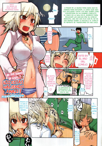 [Ryou] Machigai Darake no Usagi Shiiku | Lo Estas haciendo Mal! (COMIC Tenma 2011-03) [Spanish] {pzykosis666 HFansub} [Decensored] cover