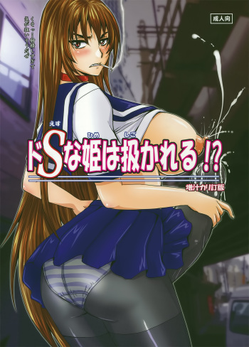 (C82) [Nozarashi (Nozarashi Satoru)] Do-S na Hime wa Shigokareru!? cover