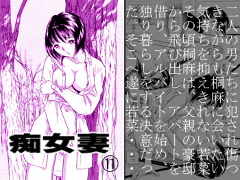 [Marumi Kikaku] Chijo tsuma 11 cover