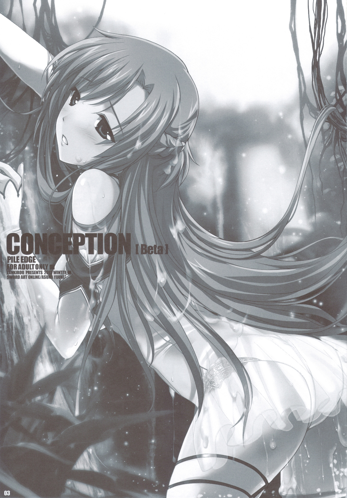 PILE EDGE CONCEPTION page 2 full