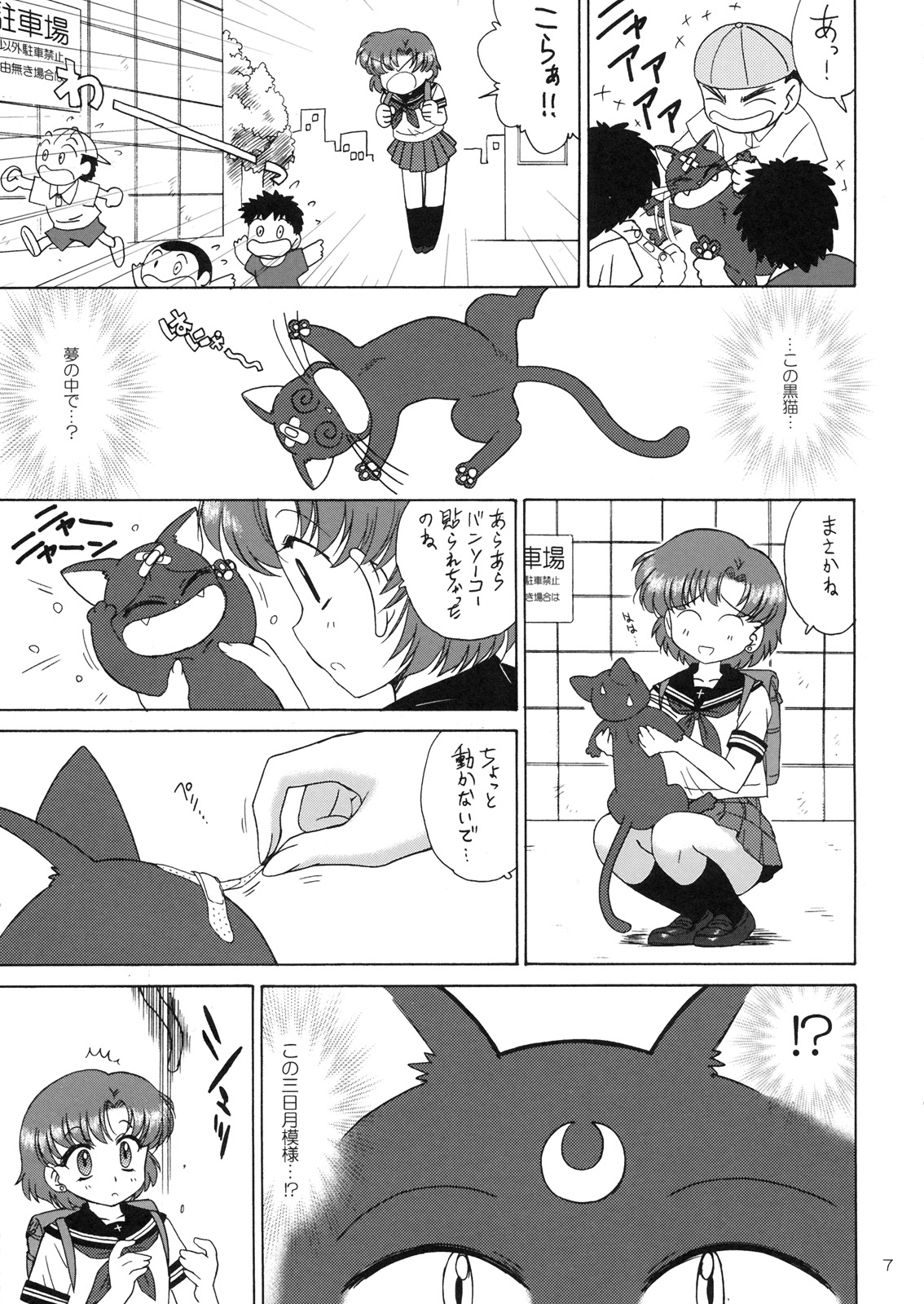 SUBMISSION-R RE MERCURY page 6 full