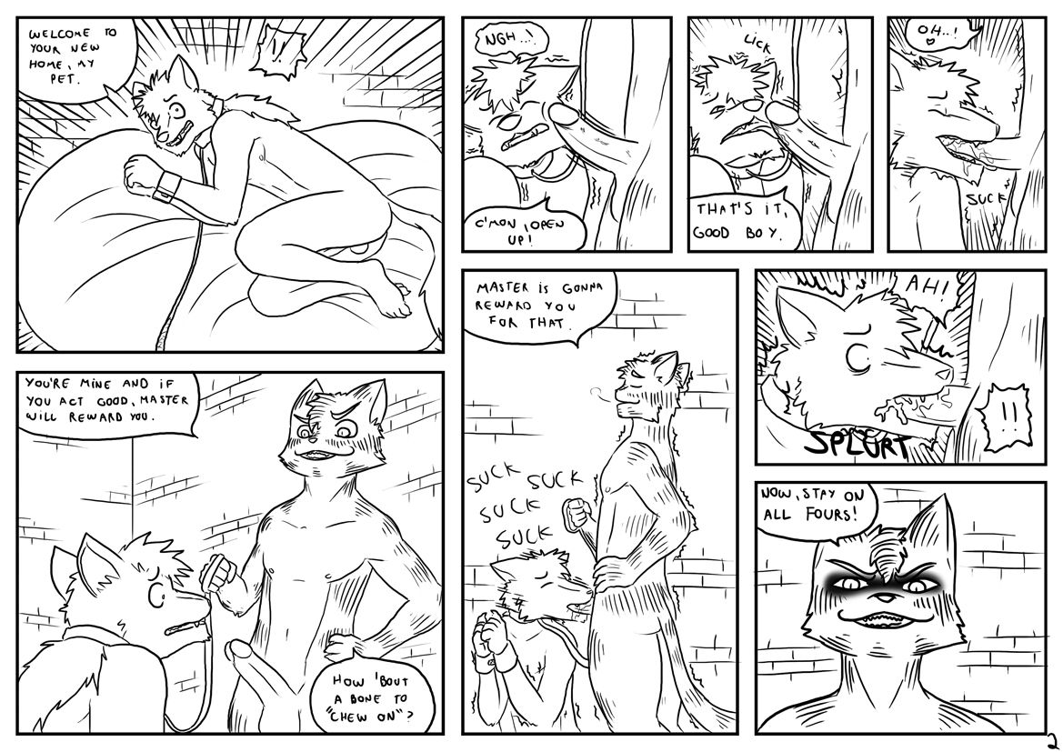 Package for You page 2 full