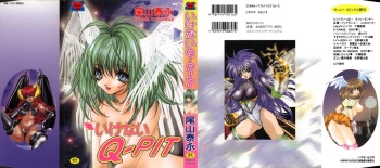 [Oyama Yasunaga] Ikenai Q-PIT cover