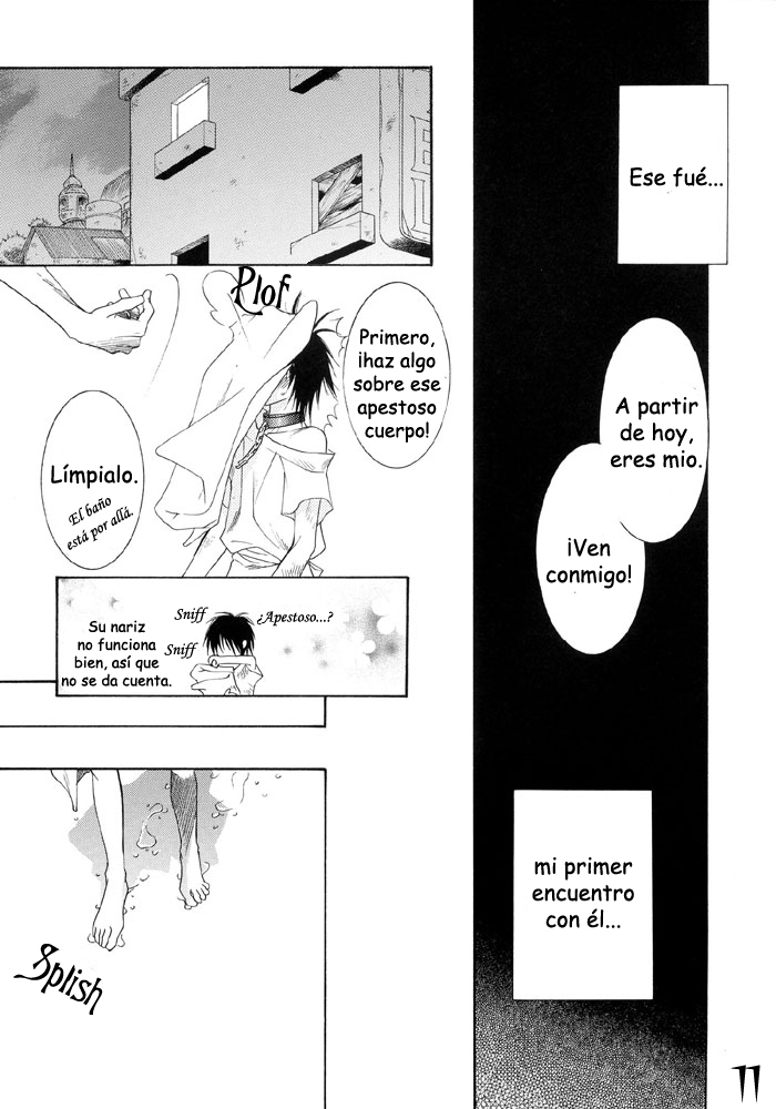 Strobolights page 11 full
