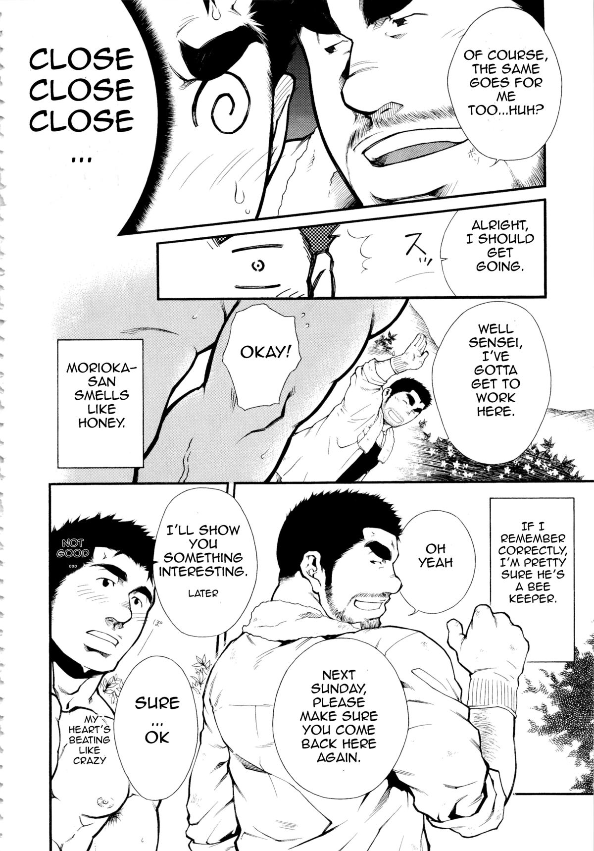 Male Honey Bee page 4 full