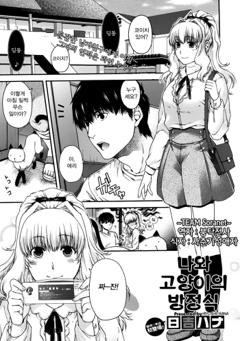[Hiyoshi Hana] Neko to Watashi no Houteishiki | 나와 고양이의 방정식 (COMIC Megastore 2012-02) [Korean] [TEAM Soranet] cover
